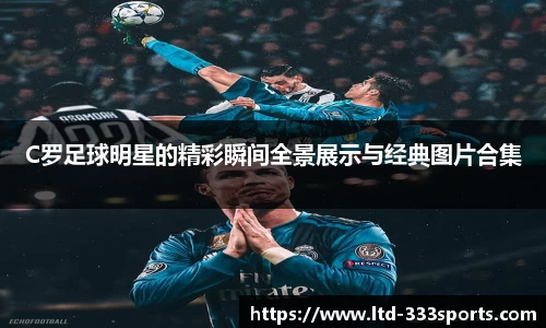 333体育官网